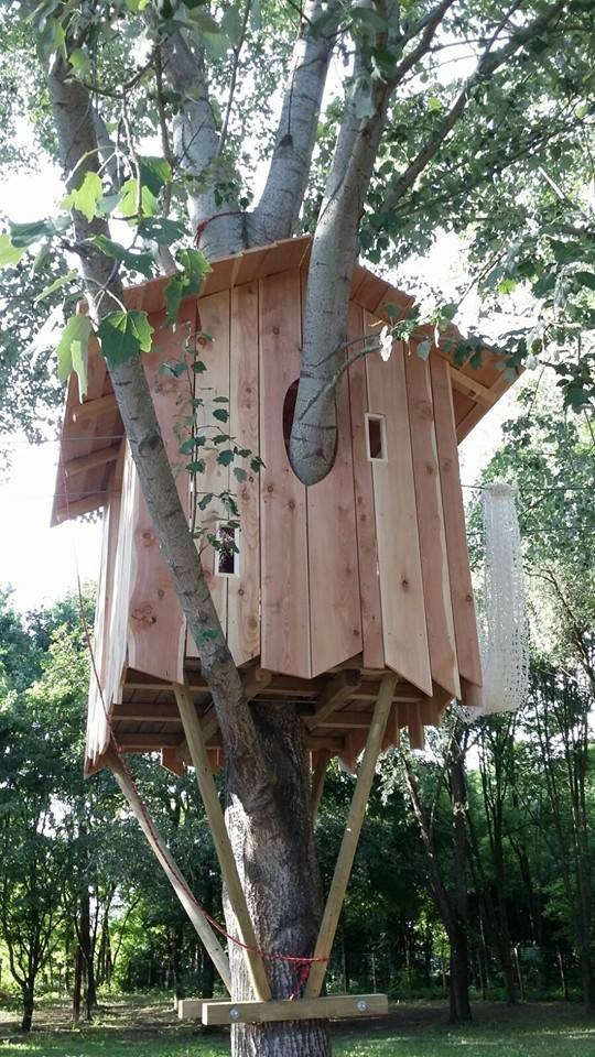 Casette sugli alberi Casette sugli alberi