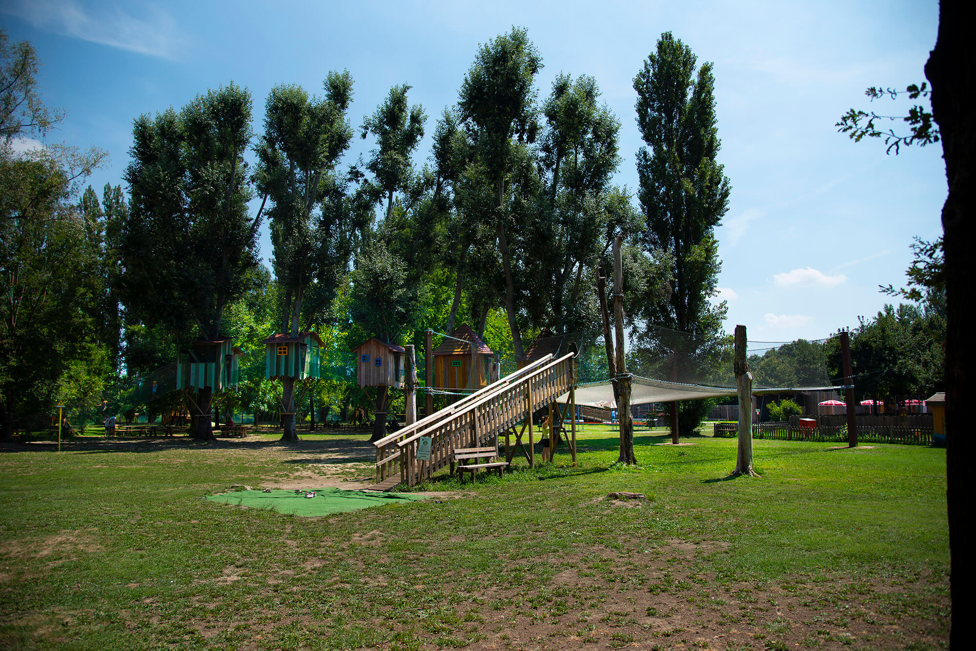 Casette sugli alberi Casette sugli alberi